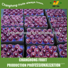 Carton 20kg Apple from chinese wholesale